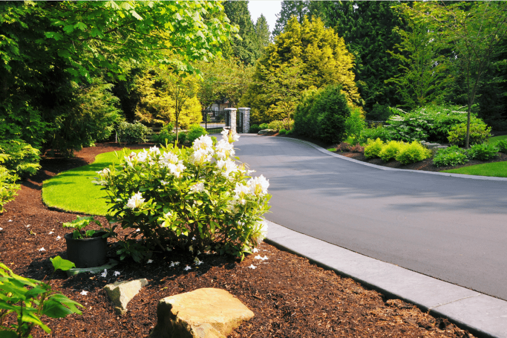 Concrete Driveway